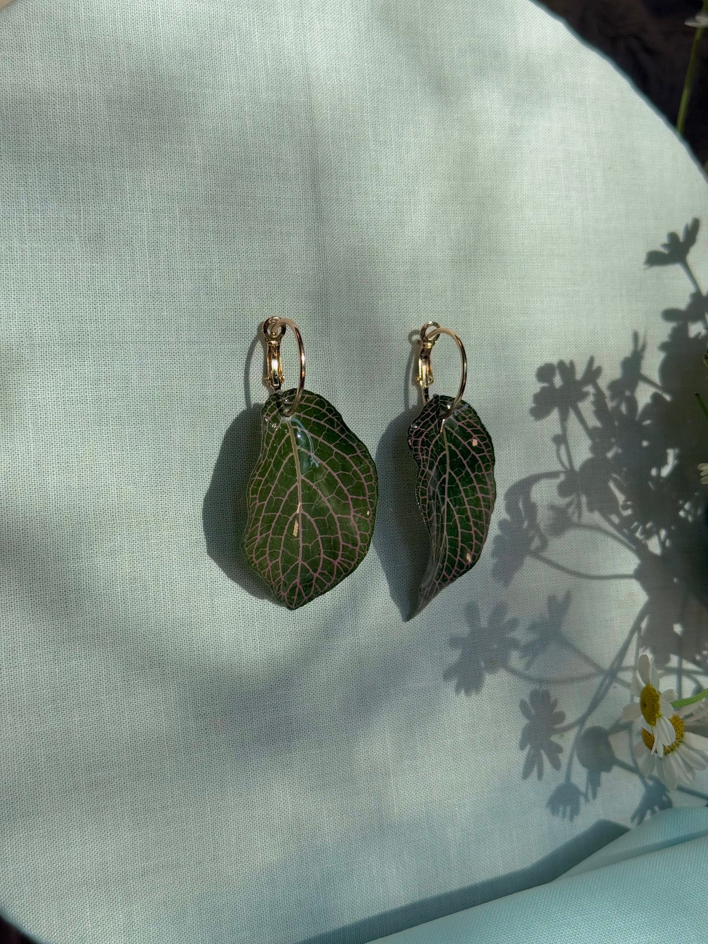 Wicked house plant leaf