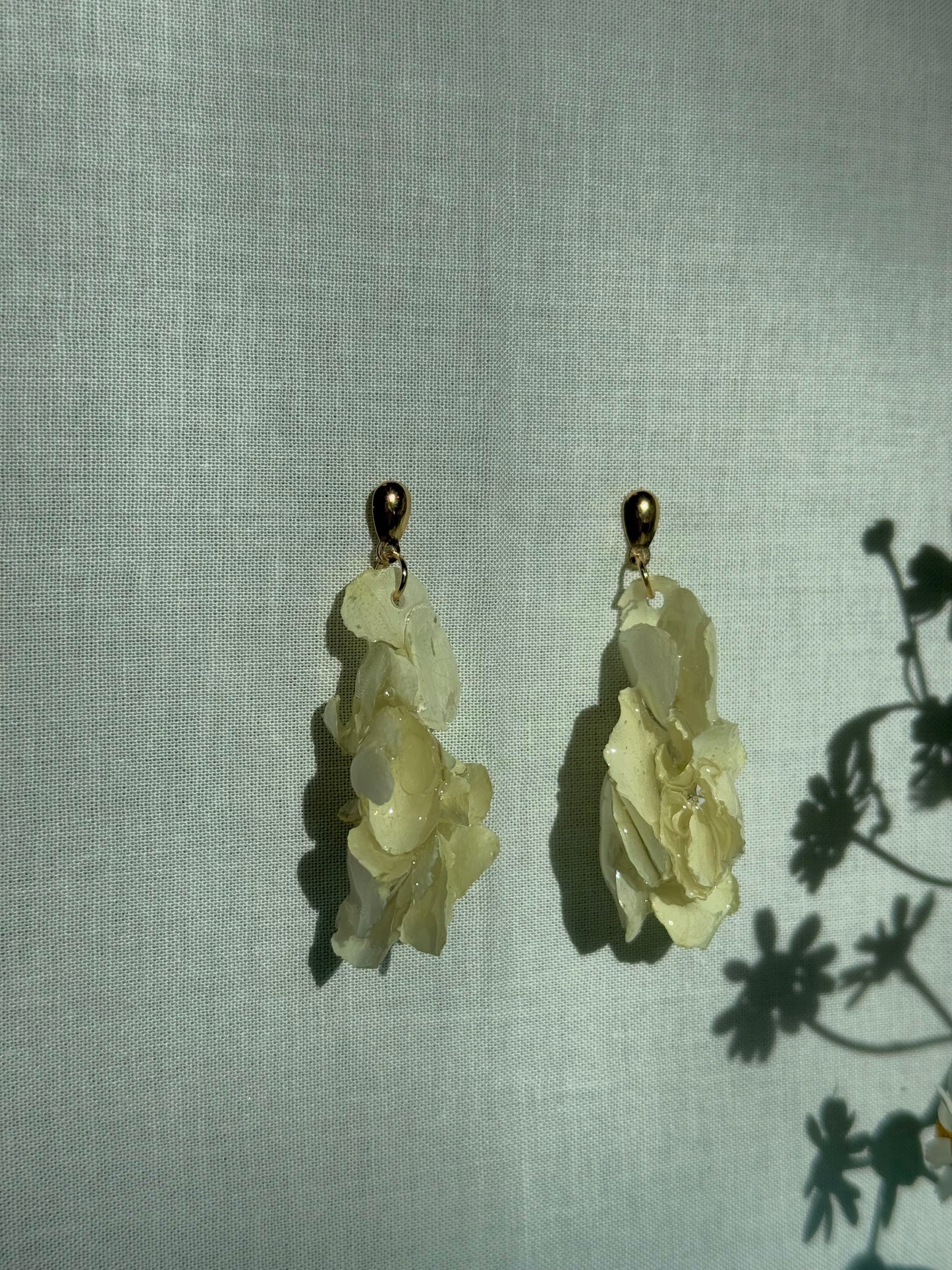 Clustered hydrangeas