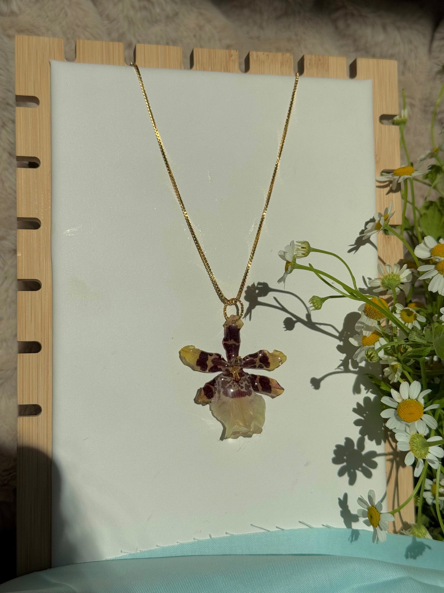 Exotic spotted orchid