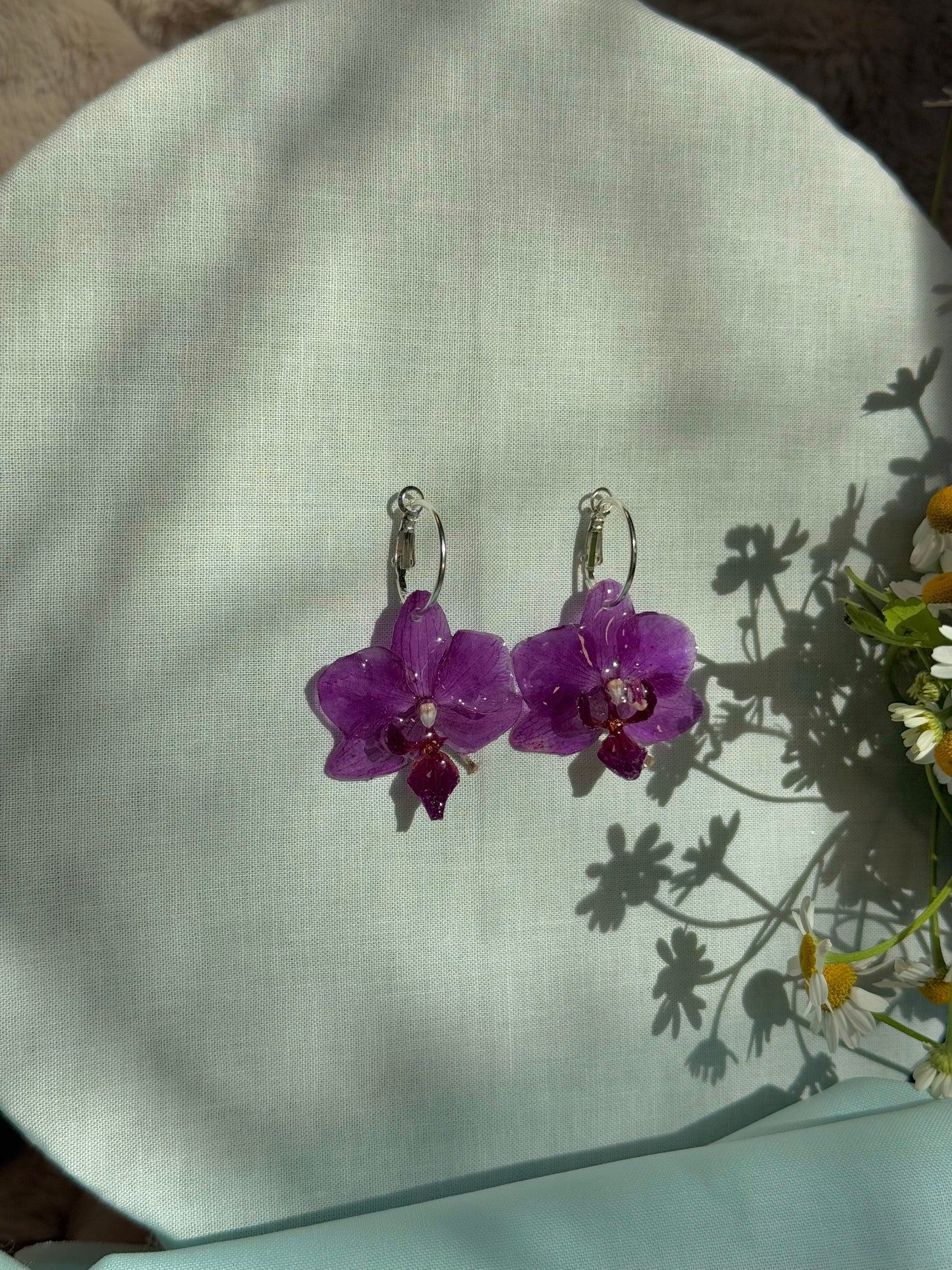 Small purple orchids