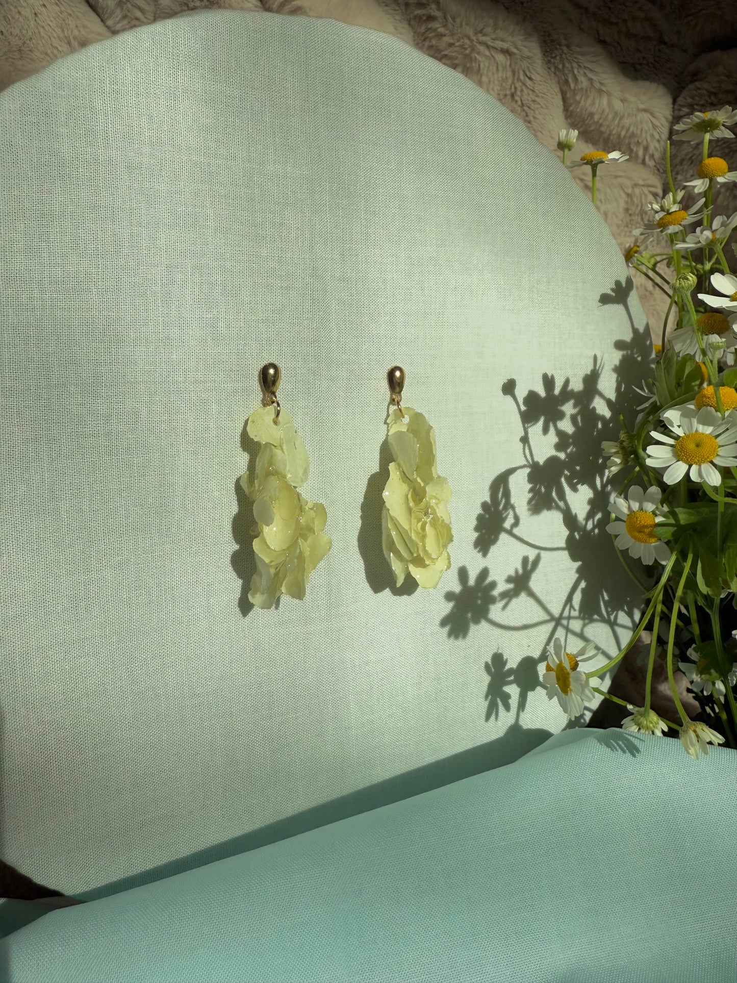 Clustered hydrangeas