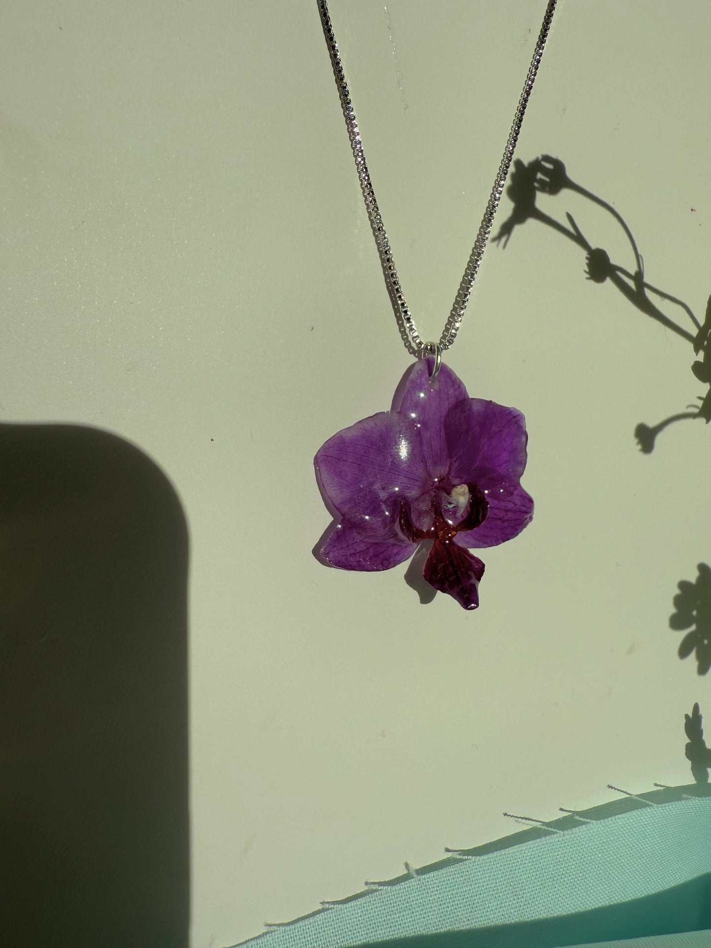 Small purple orchid