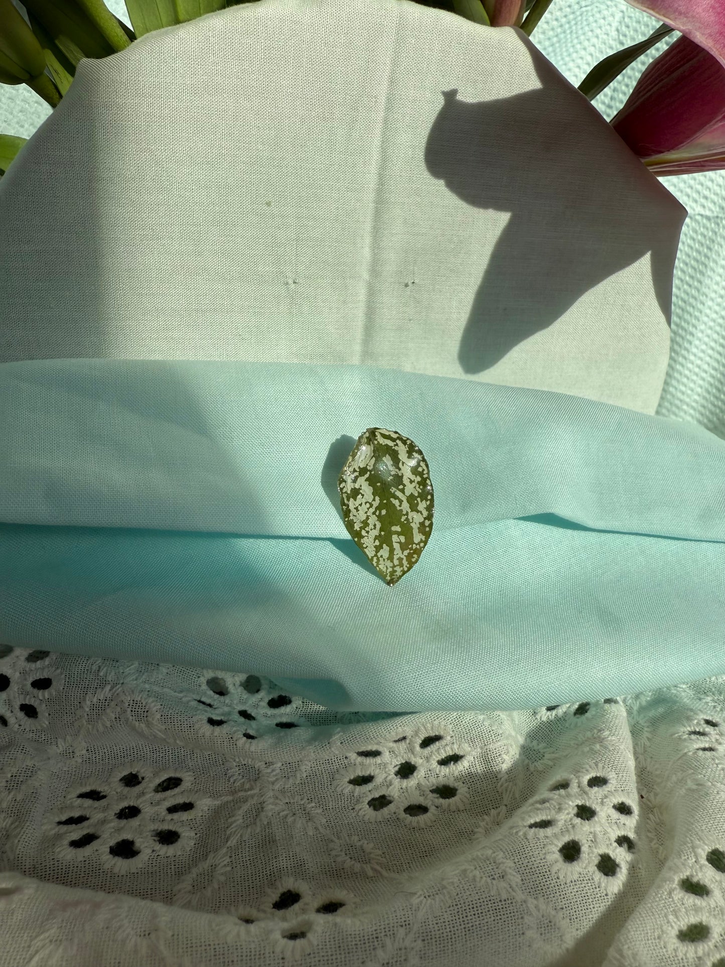 House plant leaf pin