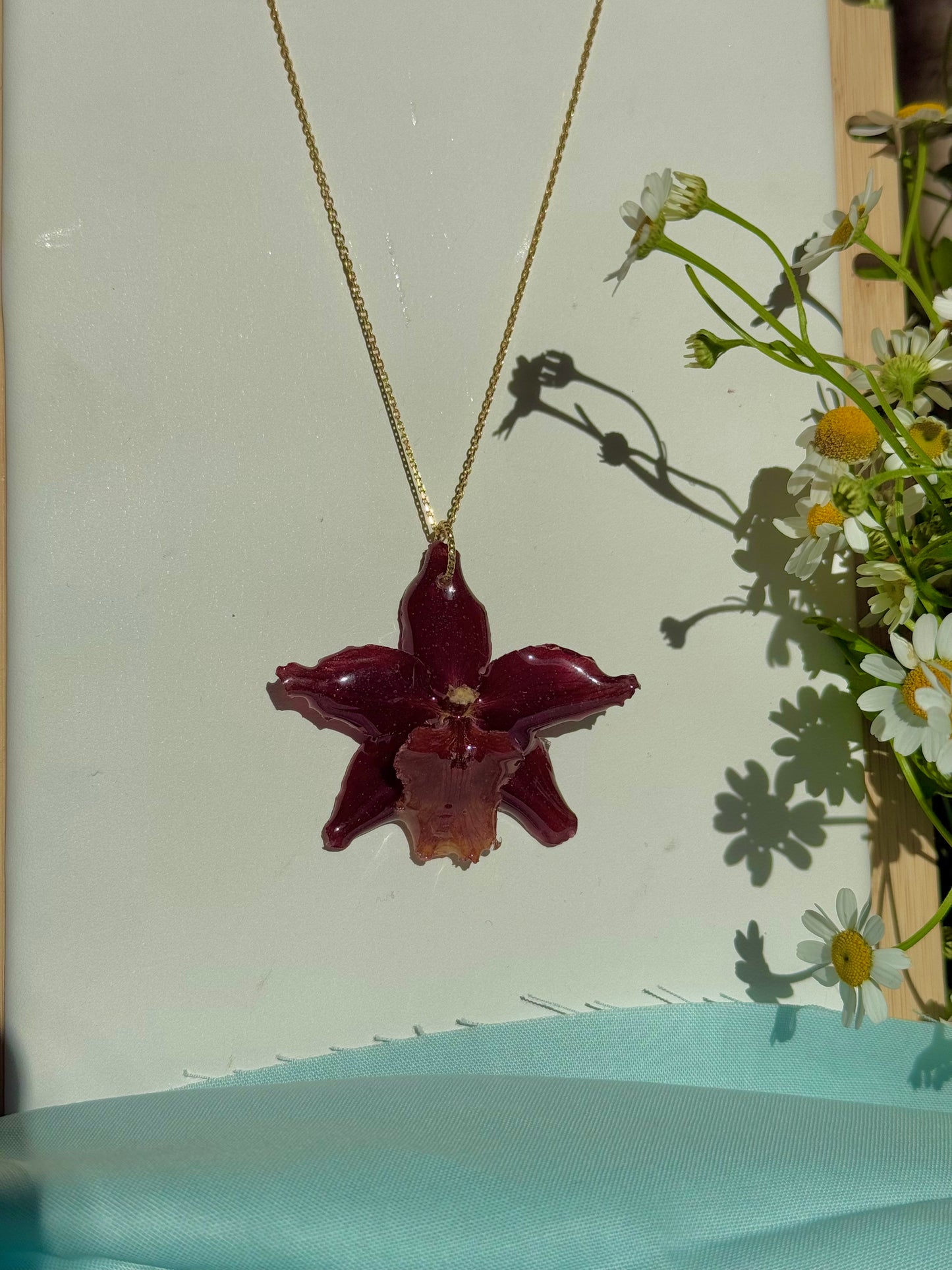 Exotic, maroon orchid