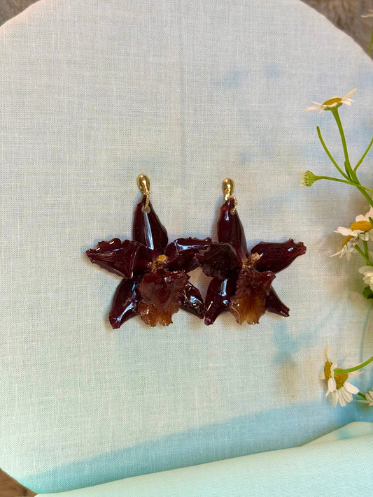 Exotic maroon orchid earrings