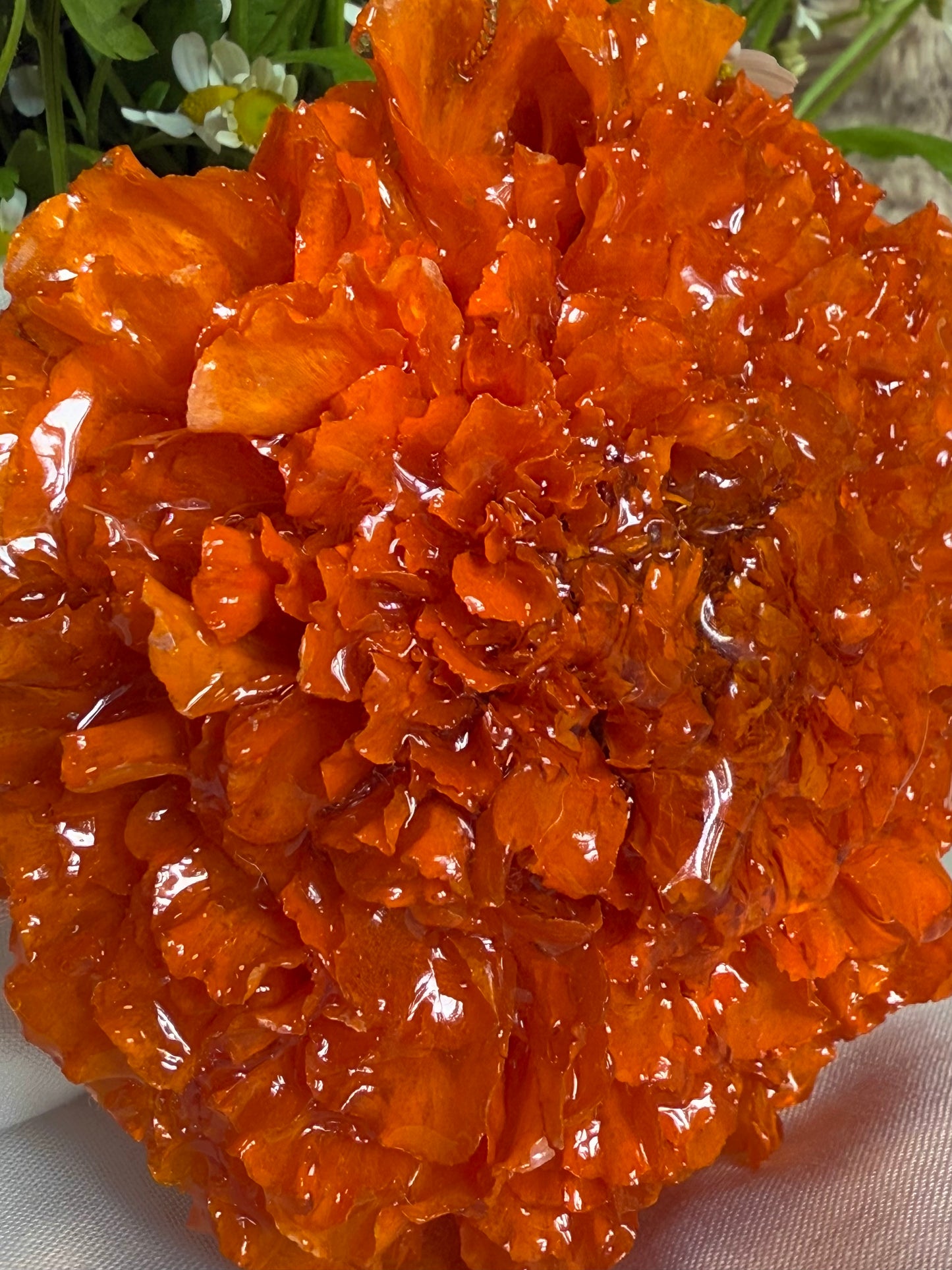 Marigolds