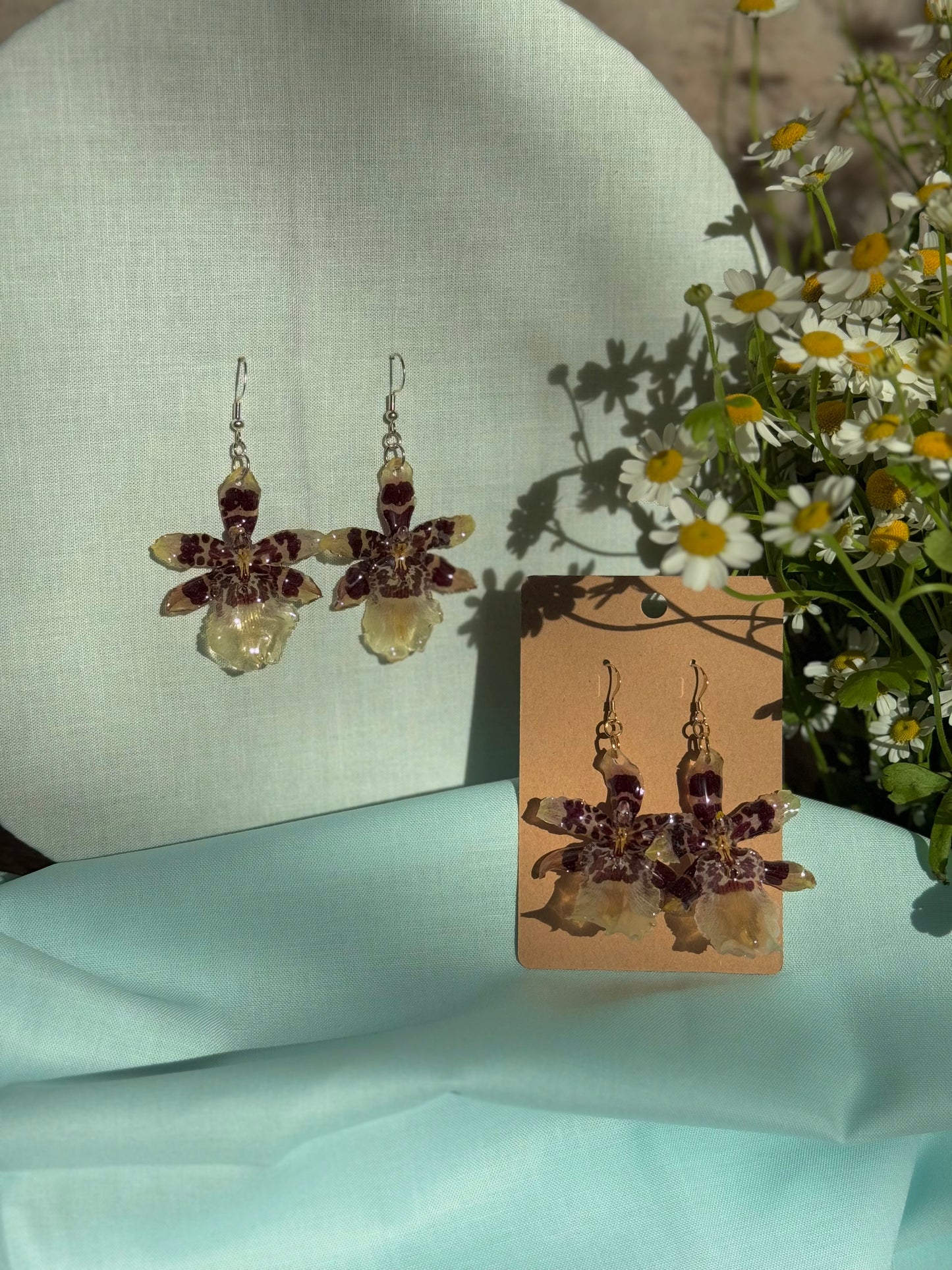 Exotic spotted orchids