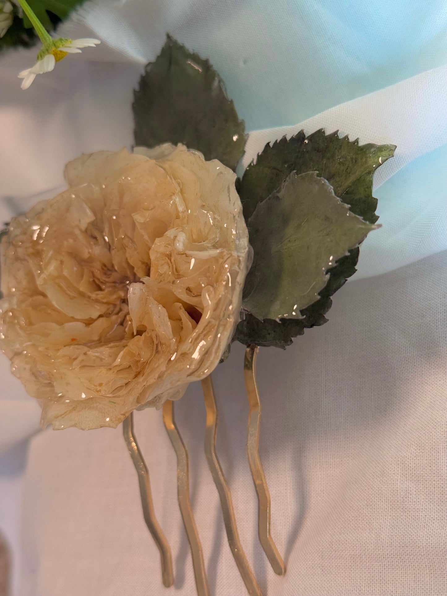 White rose with leaves