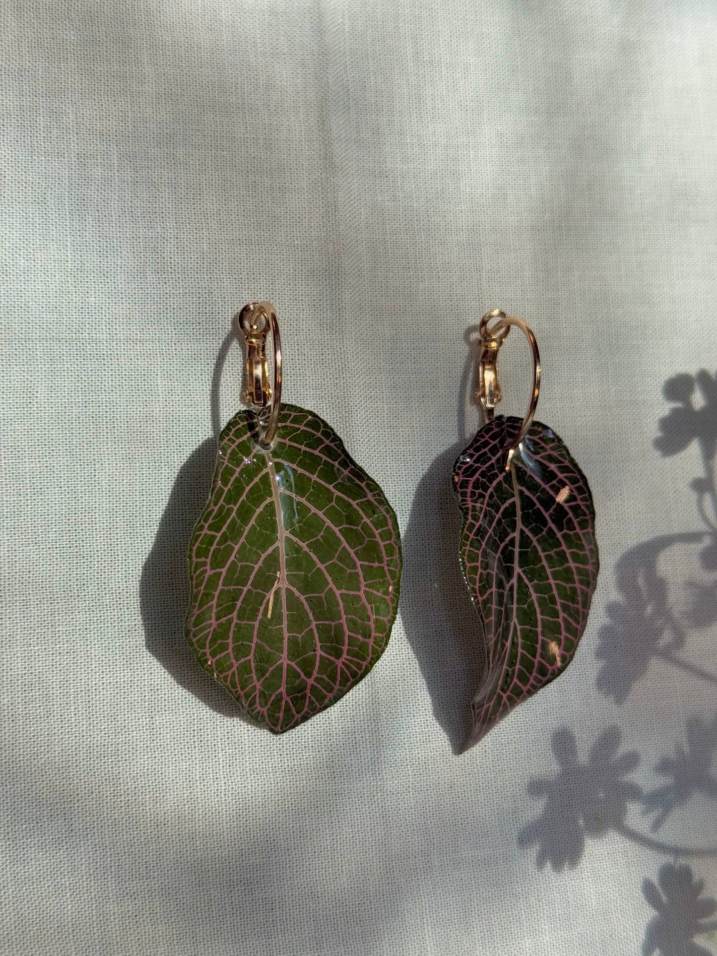 Wicked house plant leaf