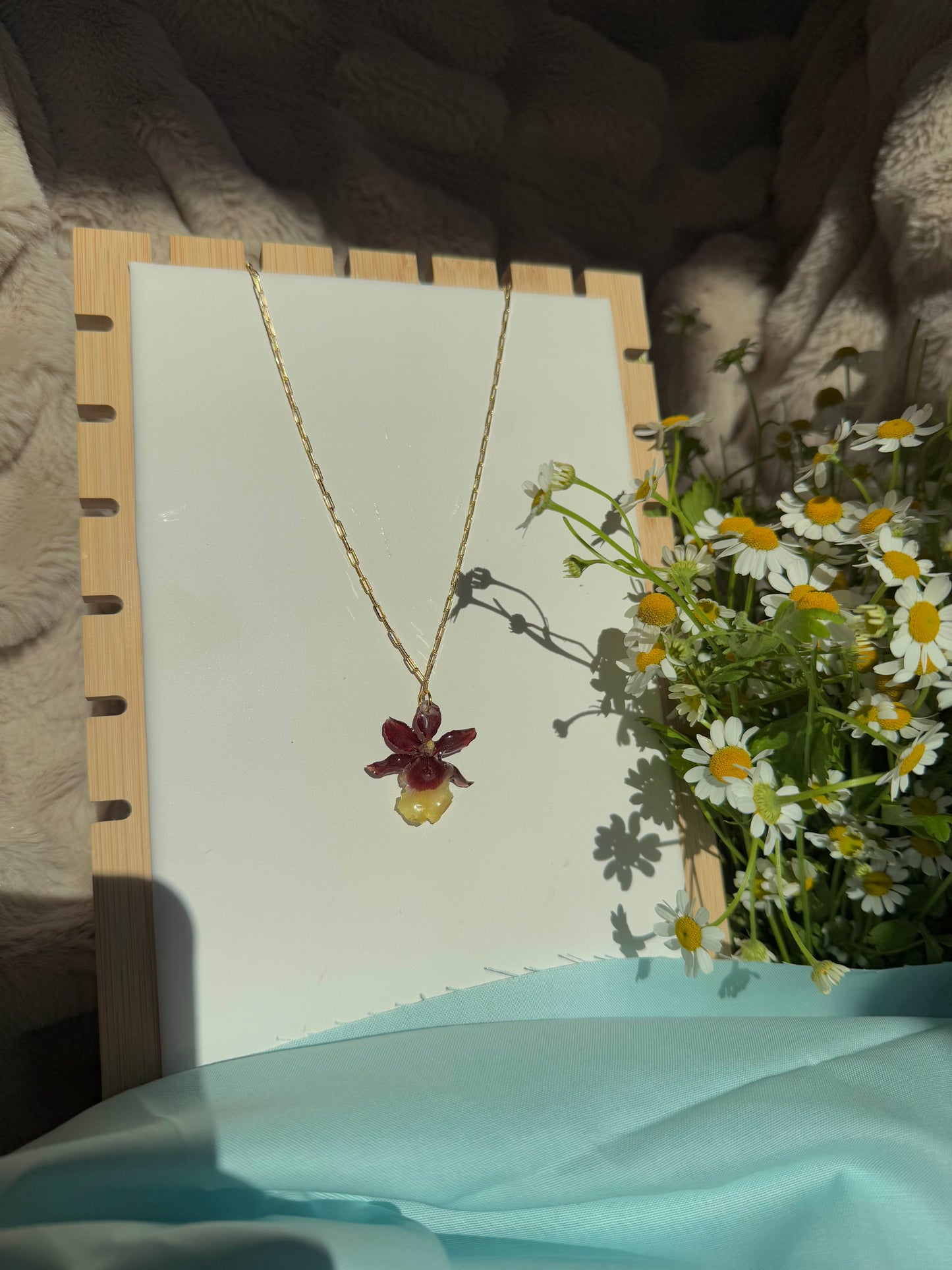 Exotic, small orchid