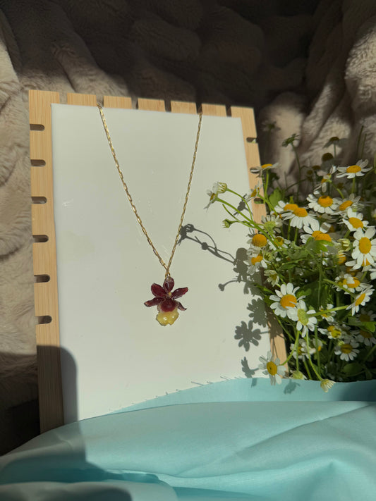 Exotic, small orchid